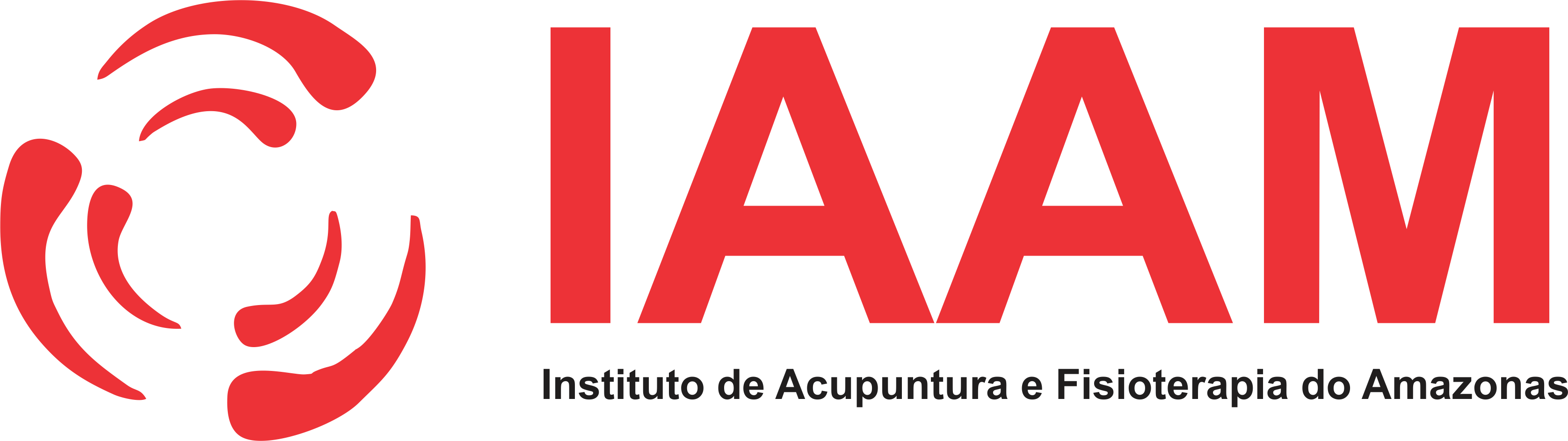 Instituto de Acupuntura e Fisioterapia do Amazonas